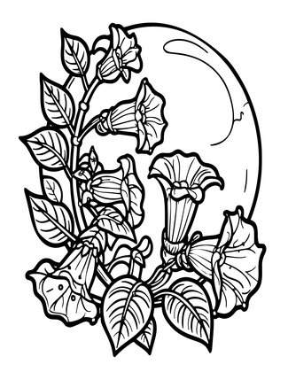 Moonflower - Free printable coloring page