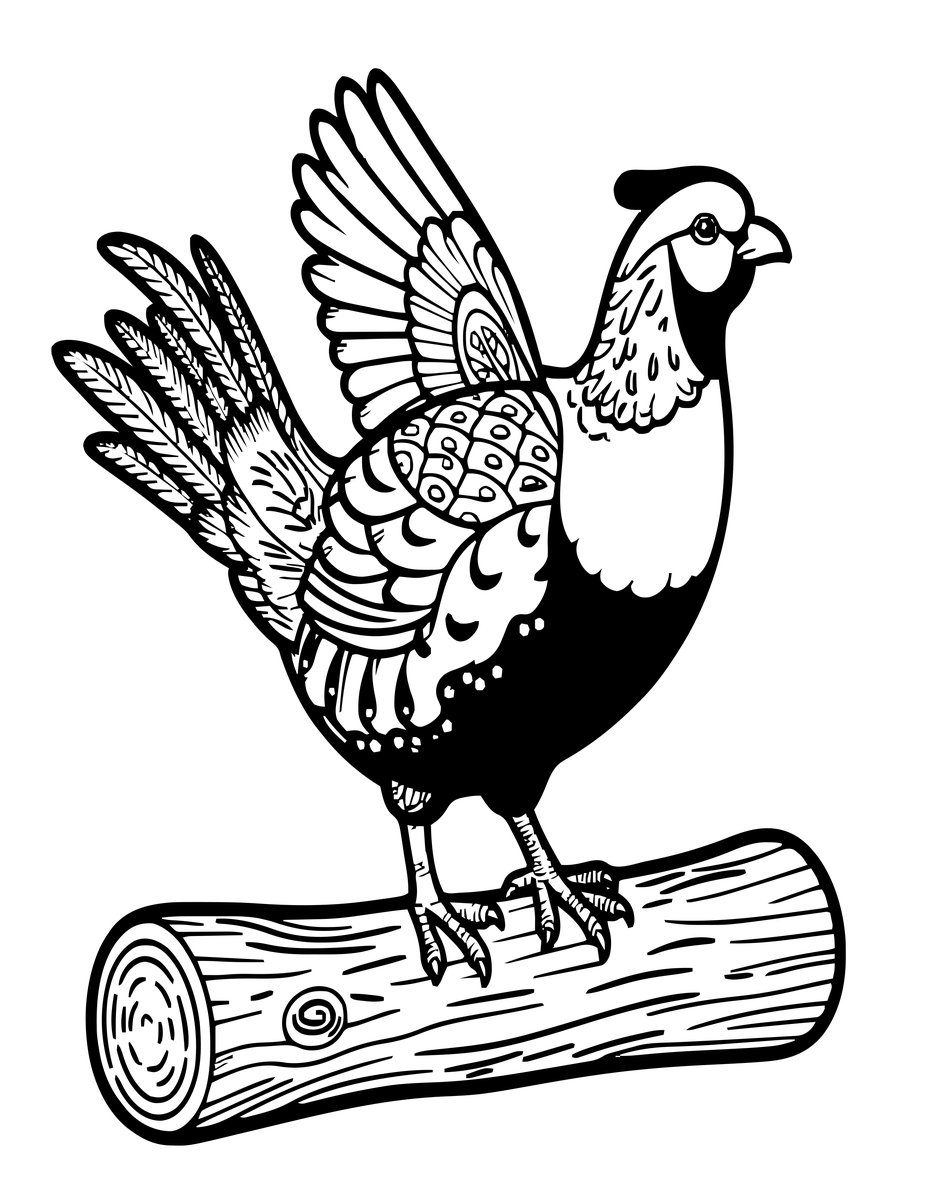 Grouse Display - free printable coloring page