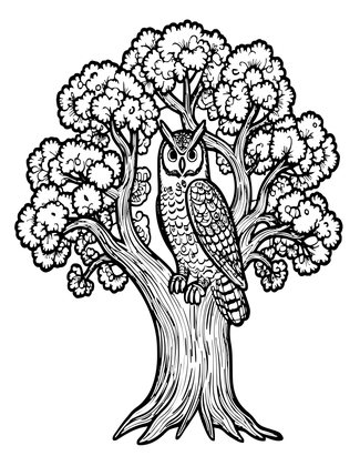 Owl in Oak - Free printable coloring page