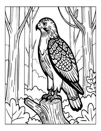 Red-Tailed Hawk - Free printable coloring page