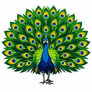 023 A Proud Peacock Displays Its Fanned Tail Feathers JnI8kfLB - free printable paint by numbers