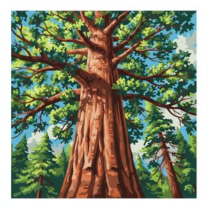 053 A Majestic Ancient Redwood Tree Dominates The A8V 25Nq - free printable paint by numbers